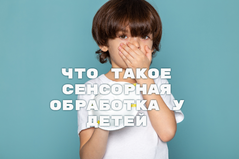 нарушение сенсорной обработки у детей