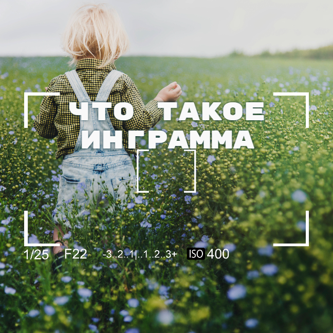 Что такое инграмма